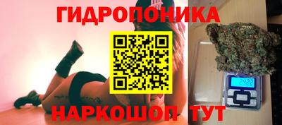 стаф Обнинск