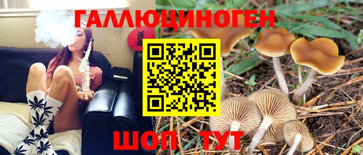 Сергиев Посад  Псилоцибиновые грибы ЛСД  Галлюциногенные грибы Psilocybe  Вход с VPN 
