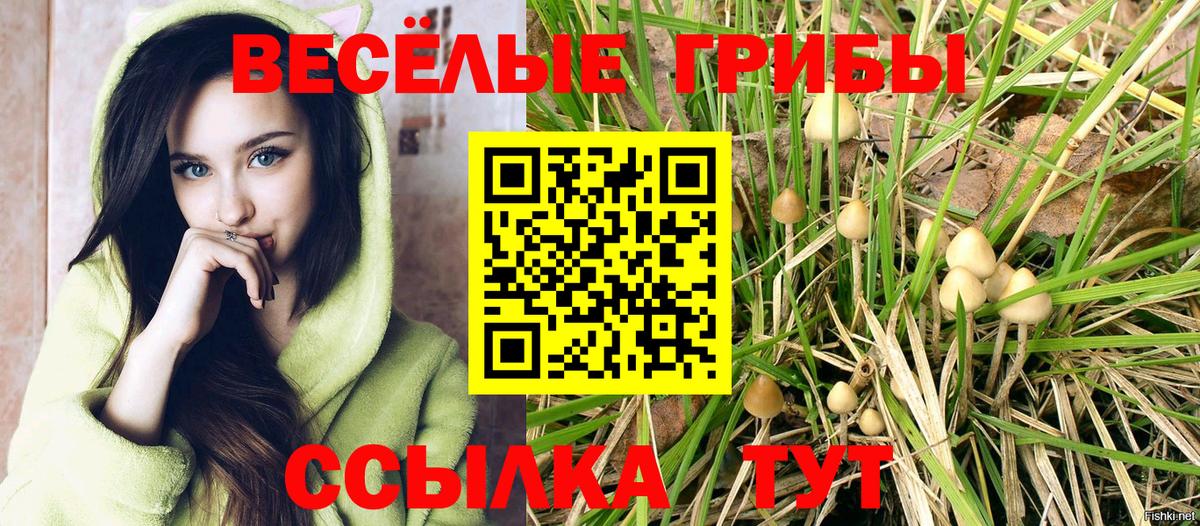 Галлюциногенные грибы MAGIC MUSHROOMS Сергиев Посад