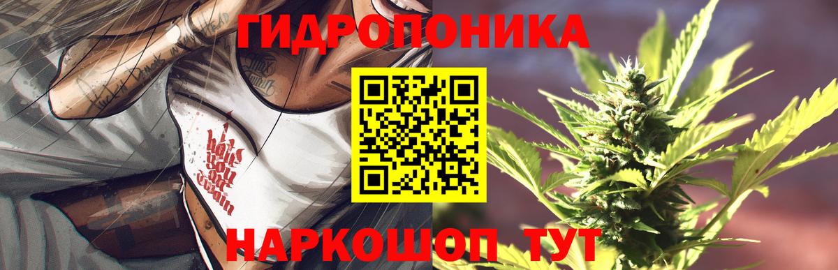 Шишки марихуана гибрид Сергиев Посад